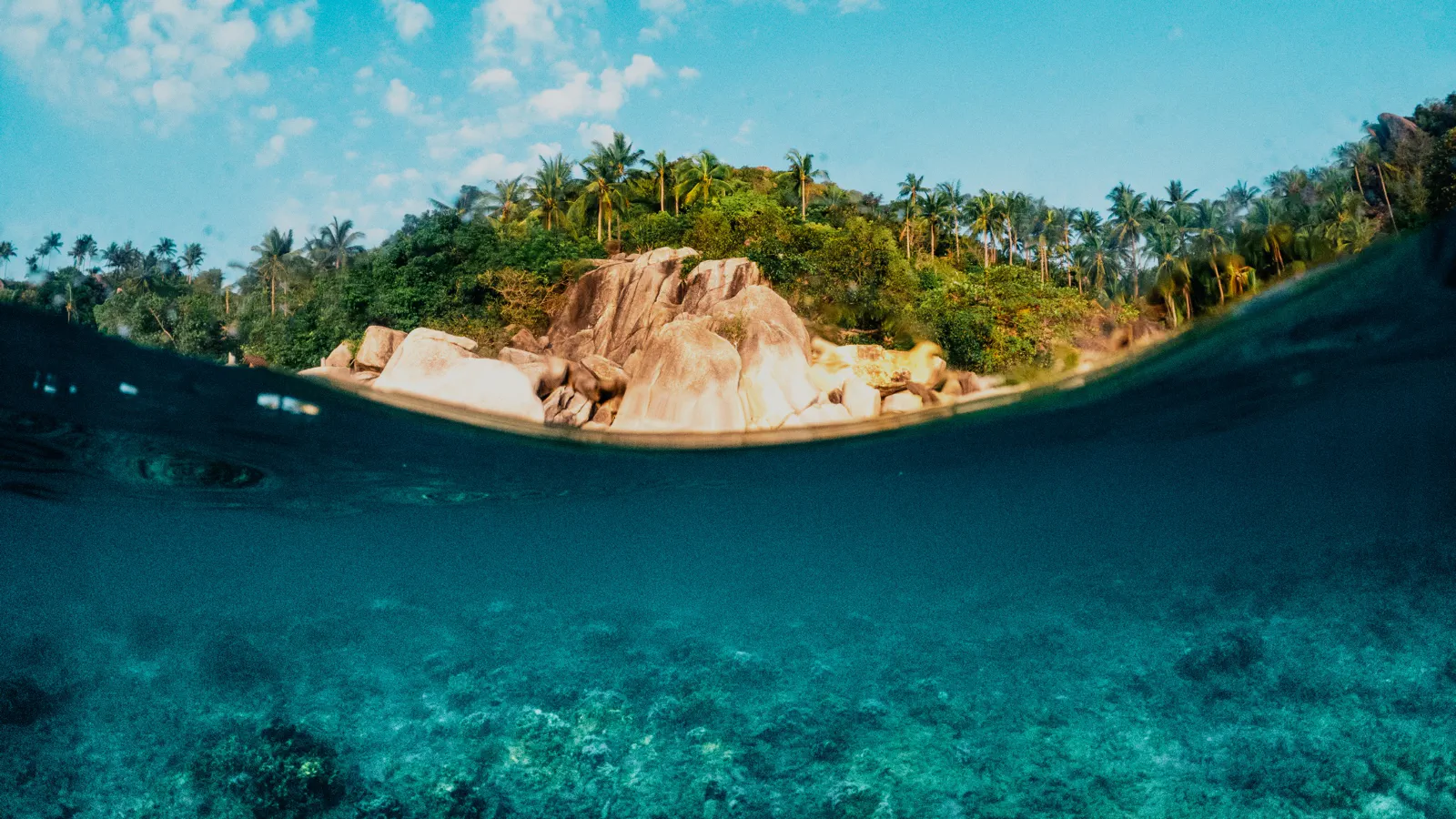 Seychelles: Diving the Ancient Granite and Coral Atolls of the Indian Ocean