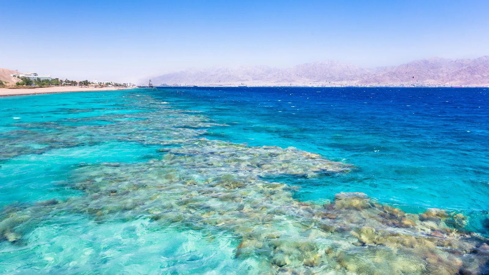 Diving Israel: Red Sea Reefs to Mediterranean Ruins