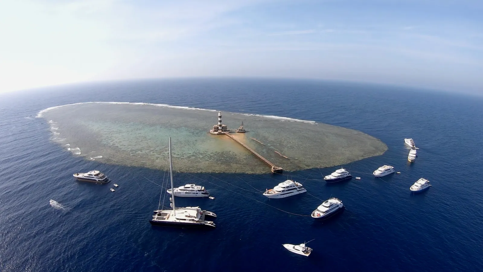 Daedalus Reef: Red Sea's Remote Pelagic Frontier