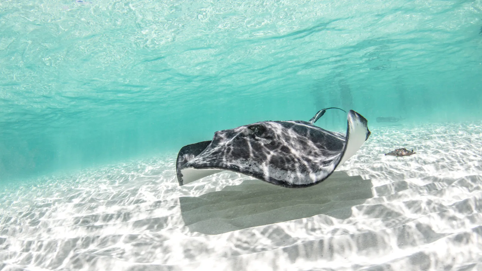 Best Snorkeling in the World: Top Lagoons, Reefs and Seasons