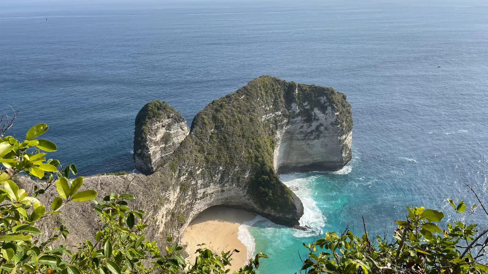 Diving in Nusa Penida: Manta Rays, Mola Mola and Deep Walls